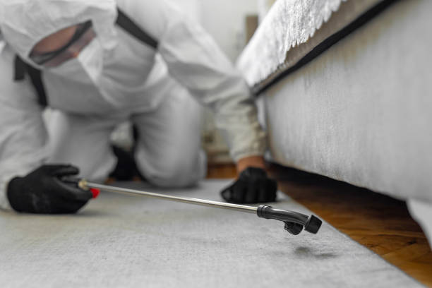 Professional Termite Control technician working in Tamaqua, PA