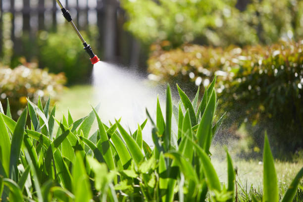 24/7 Emergency Termite Control experts in Tamaqua, PA