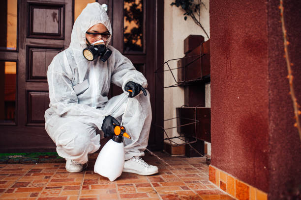 Reliable Termite Control contractor in Tamaqua, PA by Nex Pest Control