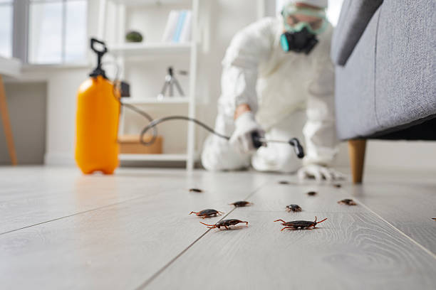 Trusted Rodent Control service in Tamaqua, PA - Nex Pest Control