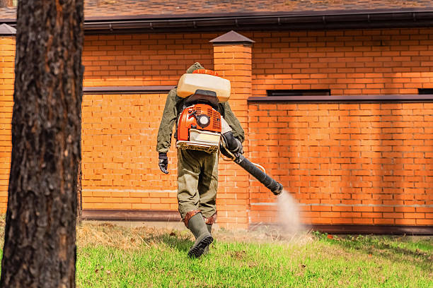 Trusted Mosquito Control service in Tamaqua, PA - Nex Pest Control